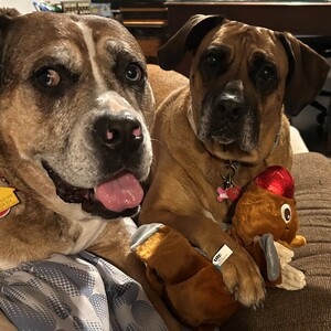 Fundraising Page: Teresa Mudge